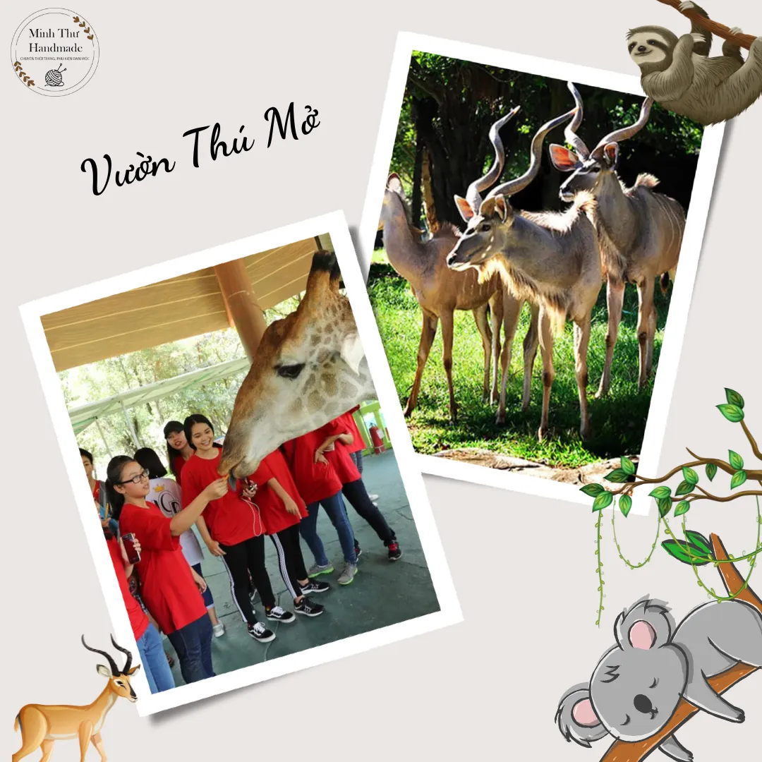 Vườn Thú Mở